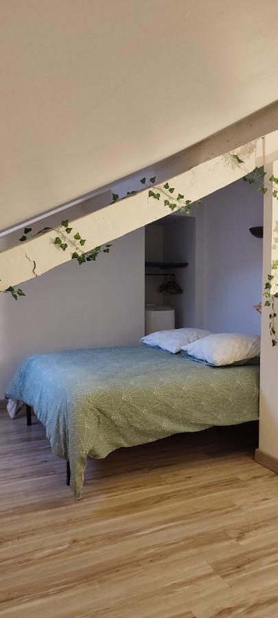 L'Appartement 7 - Centre Ville-Parking-Tv-Wifi Tarbes Eksteriør bilde